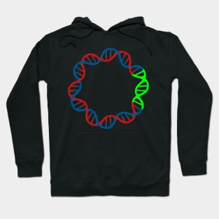 Circular DNA Double Stranded Plasmid Vector GFP Green fluorescent protein Hoodie